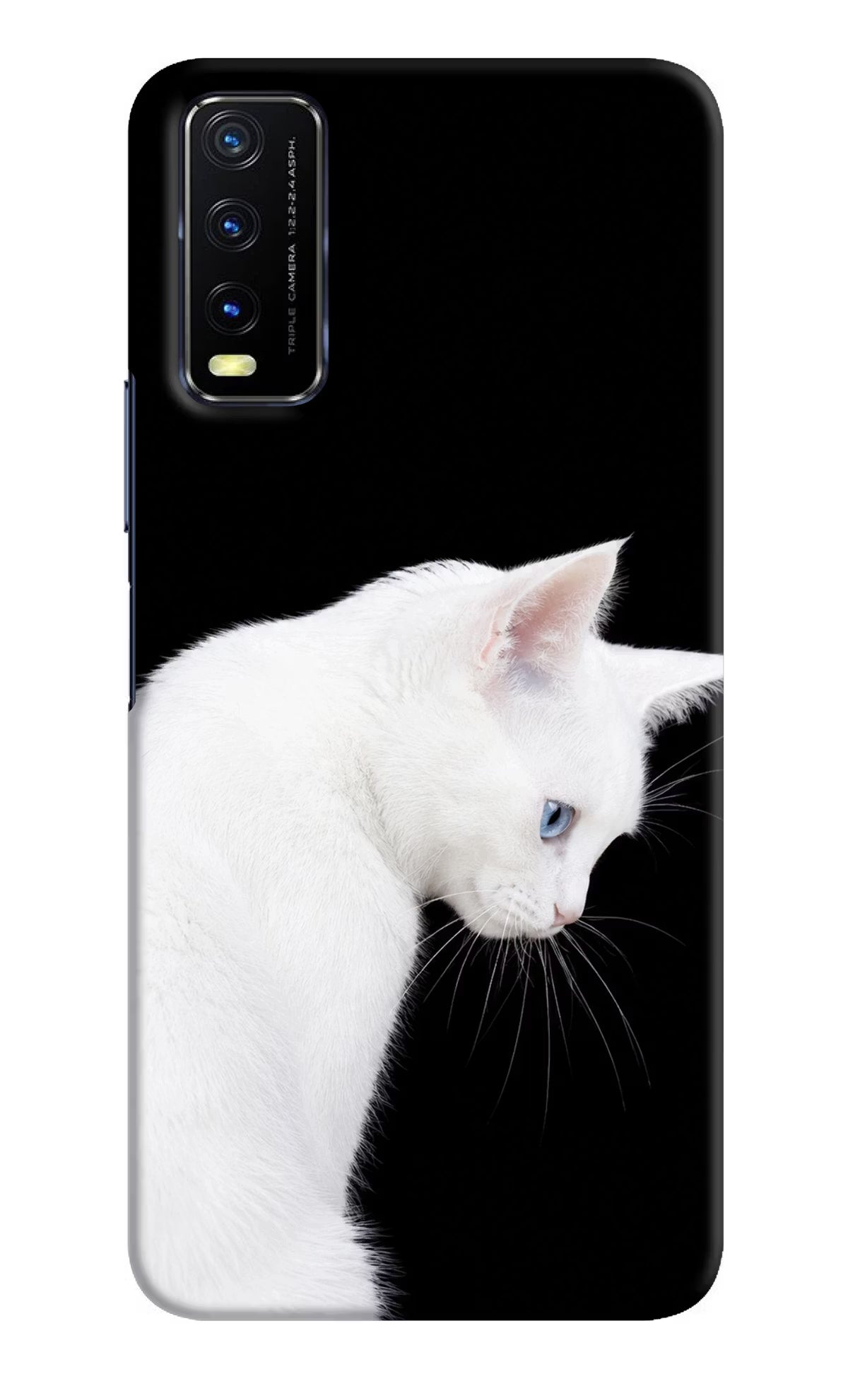 Snow Gaze Vivo Y20/Y20i Back Cover - Snow Gaze Vivo Y20/Y20i Back Cover Snow Gaze Vivo Y20/Y20i Back Cover