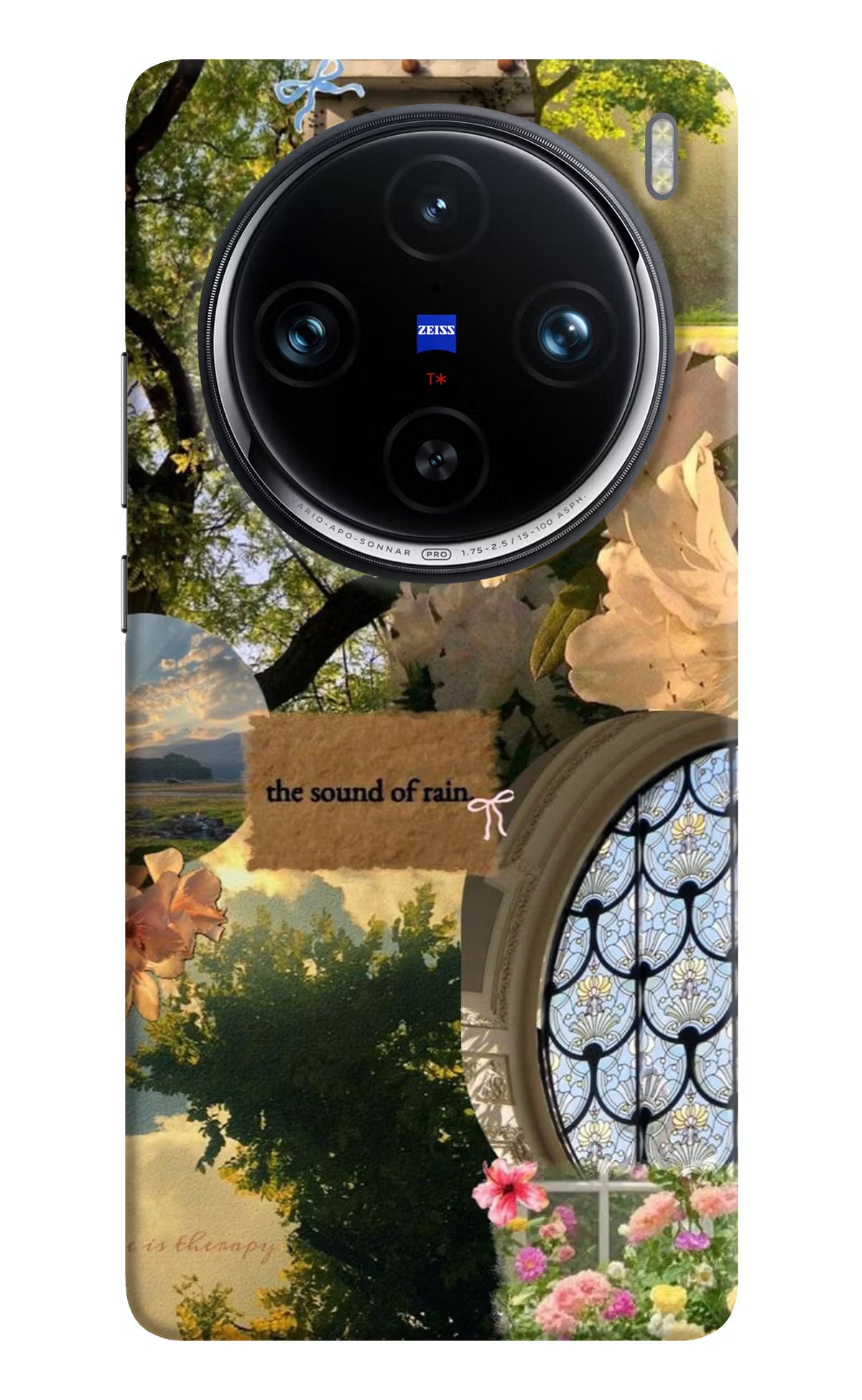 Rain Vivo X100 Pro Back Cover - Rain Vivo X100 Pro Back Cover Rain Vivo X100 Pro Back Cover