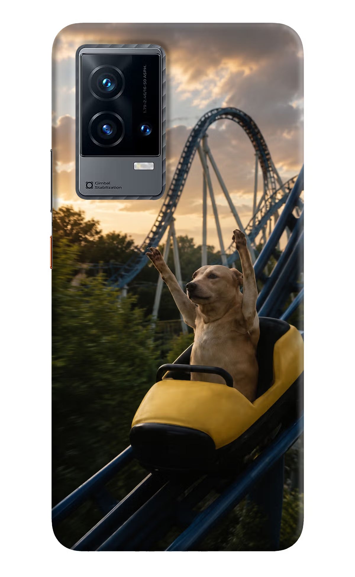 Rollercoaster Dog iQOO 9 5G Back Cover - Rollercoaster Dog iQOO 9 5G Back Cover Rollercoaster Dog iQOO 9 5G Back Cover