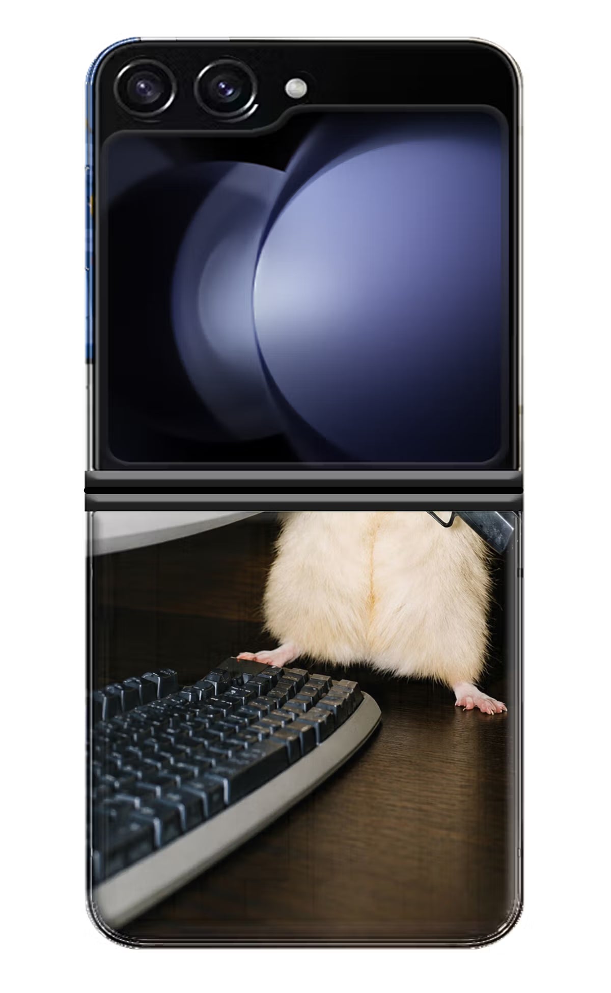 Hacker Hamster Samsung Galaxy Z Flip5 Back Cover - Hacker Hamster Samsung Galaxy Z Flip5 Back Cover Hacker Hamster Samsung Galaxy Z Flip5 Back Cover