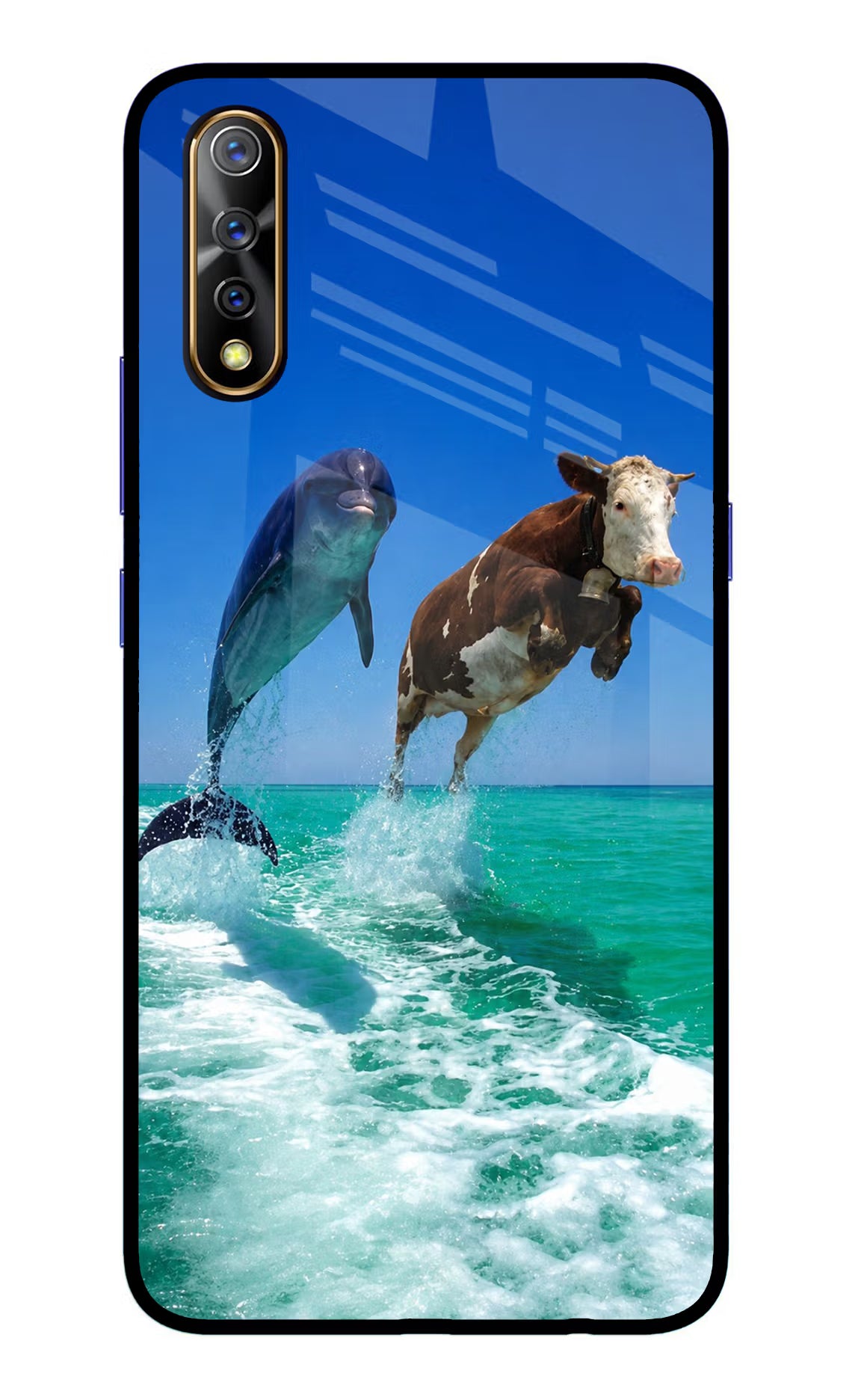Dolphin vs Cow Vivo S1/Z1x Glass Case - Dolphin vs Cow Vivo S1/Z1x Glass Case Dolphin vs Cow Vivo S1/Z1x Glass Case