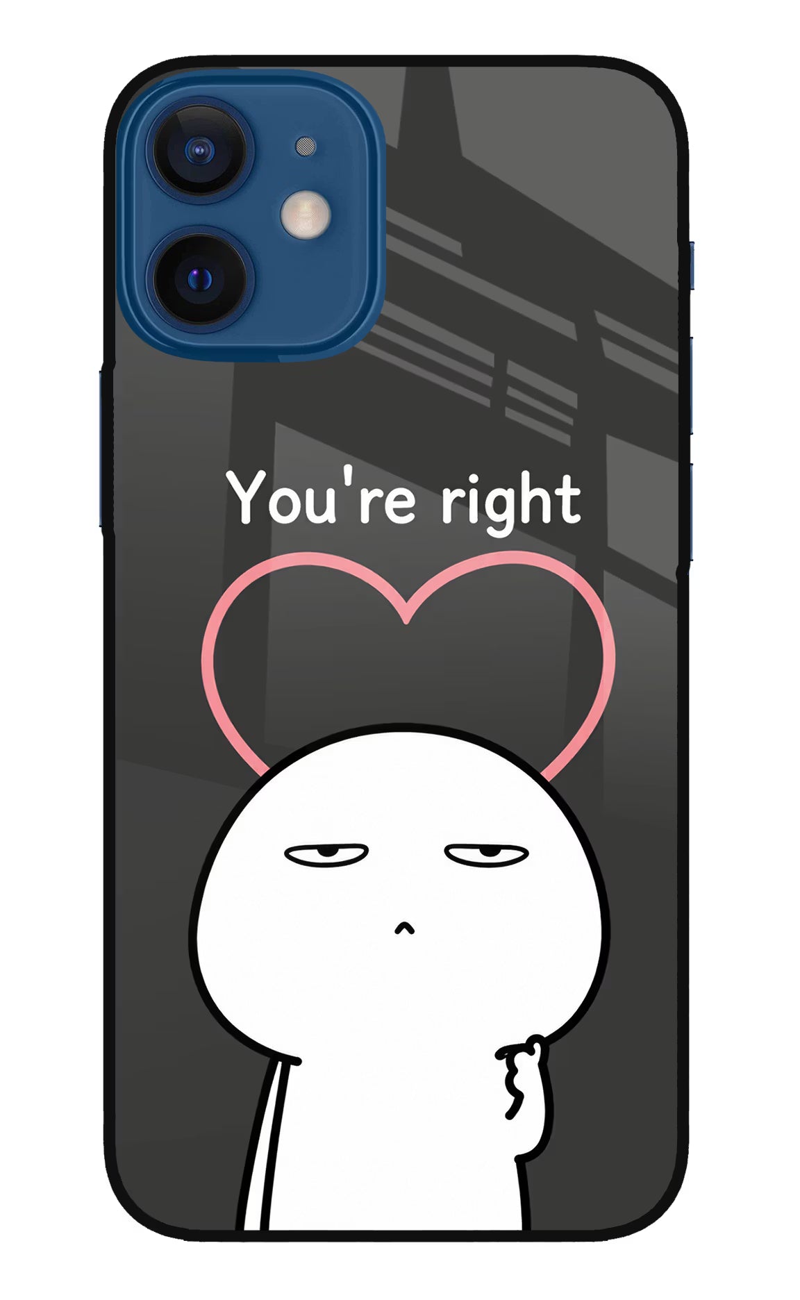 You're Right iPhone 12 Mini Glass Case - You're Right iPhone 12 Mini Glass Case You're Right iPhone 12 Mini Glass Case