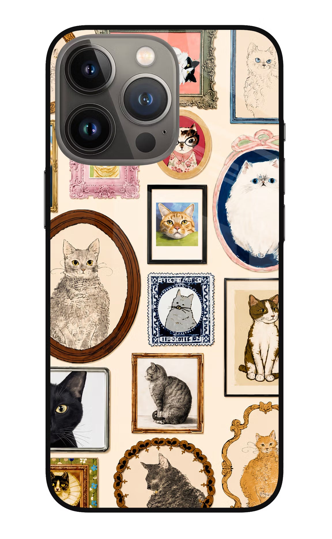 Mirror Cats iPhone 13 Pro Glass Case - Mirror Cats iPhone 13 Pro Glass Case Mirror Cats iPhone 13 Pro Glass Case