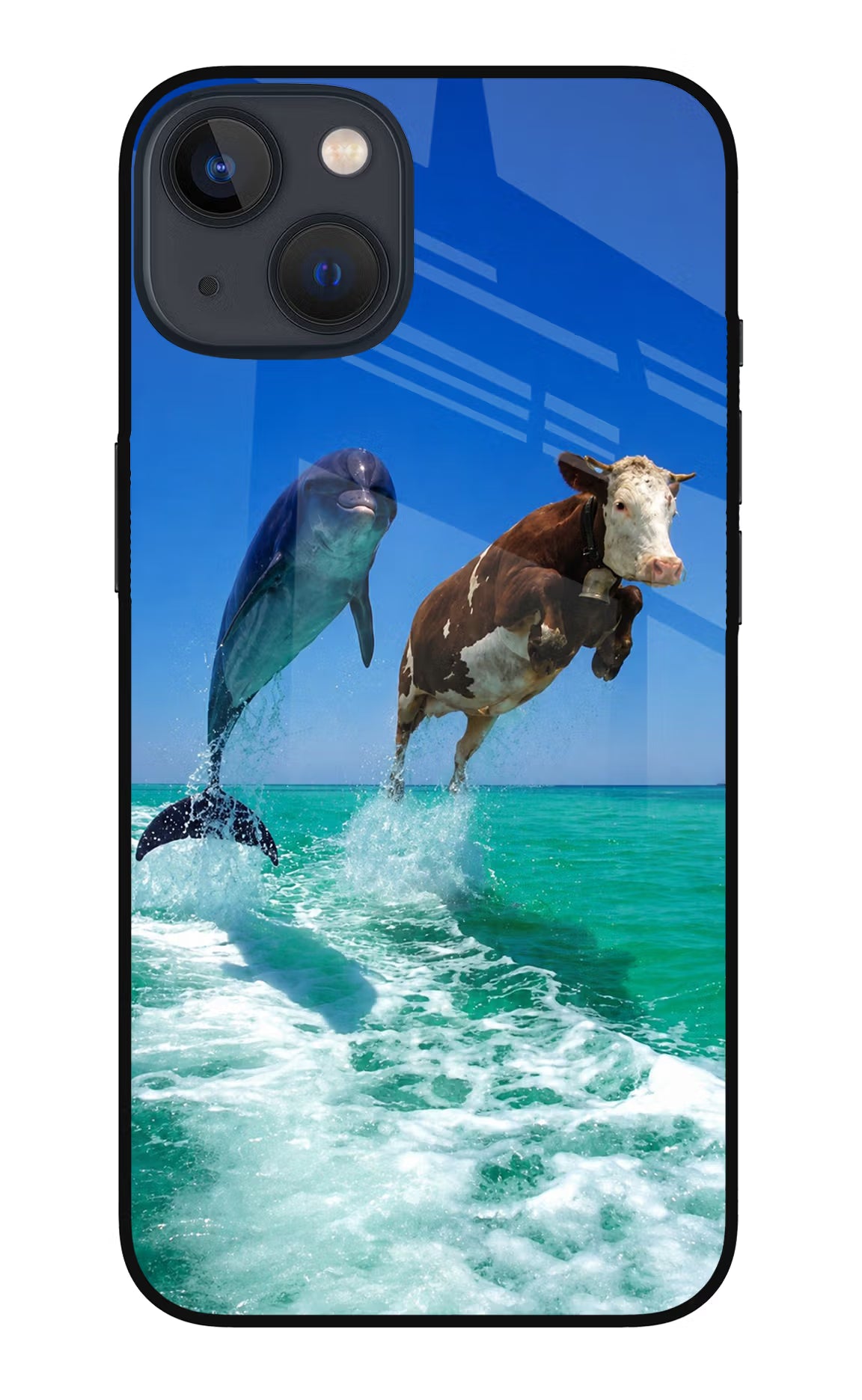Dolphin vs Cow iPhone 13 Mini Glass Case - Dolphin vs Cow iPhone 13 Mini Glass Case Dolphin vs Cow iPhone 13 Mini Glass Case
