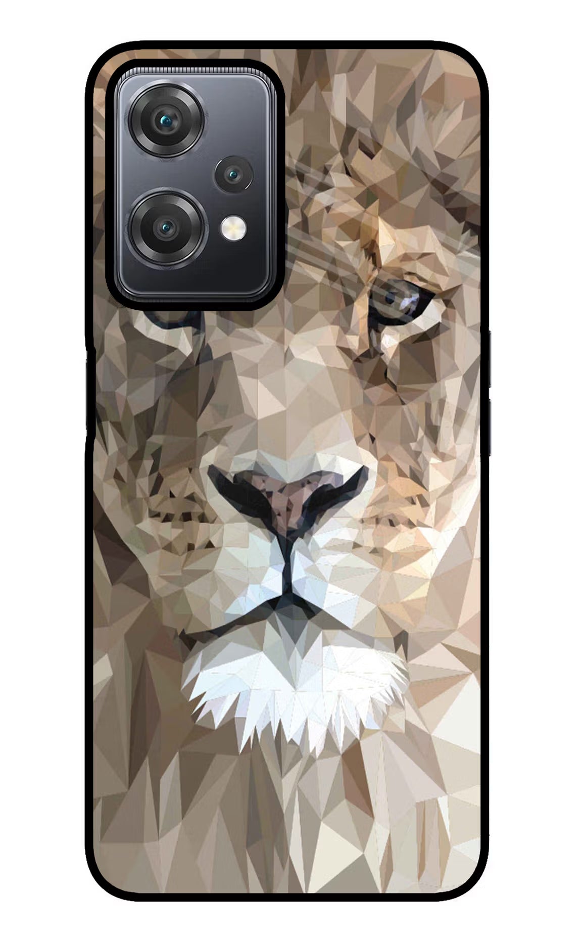 Lion Art OnePlus Nord CE 2 Lite 5G Glass Case - Lion Art OnePlus Nord CE 2 Lite 5G Glass Case Lion Art OnePlus Nord CE 2 Lite 5G Glass Case