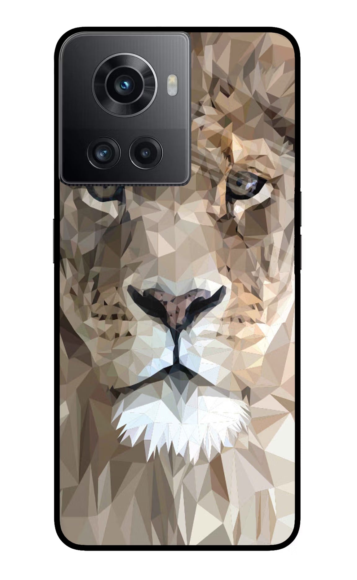 Lion Art OnePlus 10R 5G Glass Case - Lion Art OnePlus 10R 5G Glass Case Lion Art OnePlus 10R 5G Glass Case