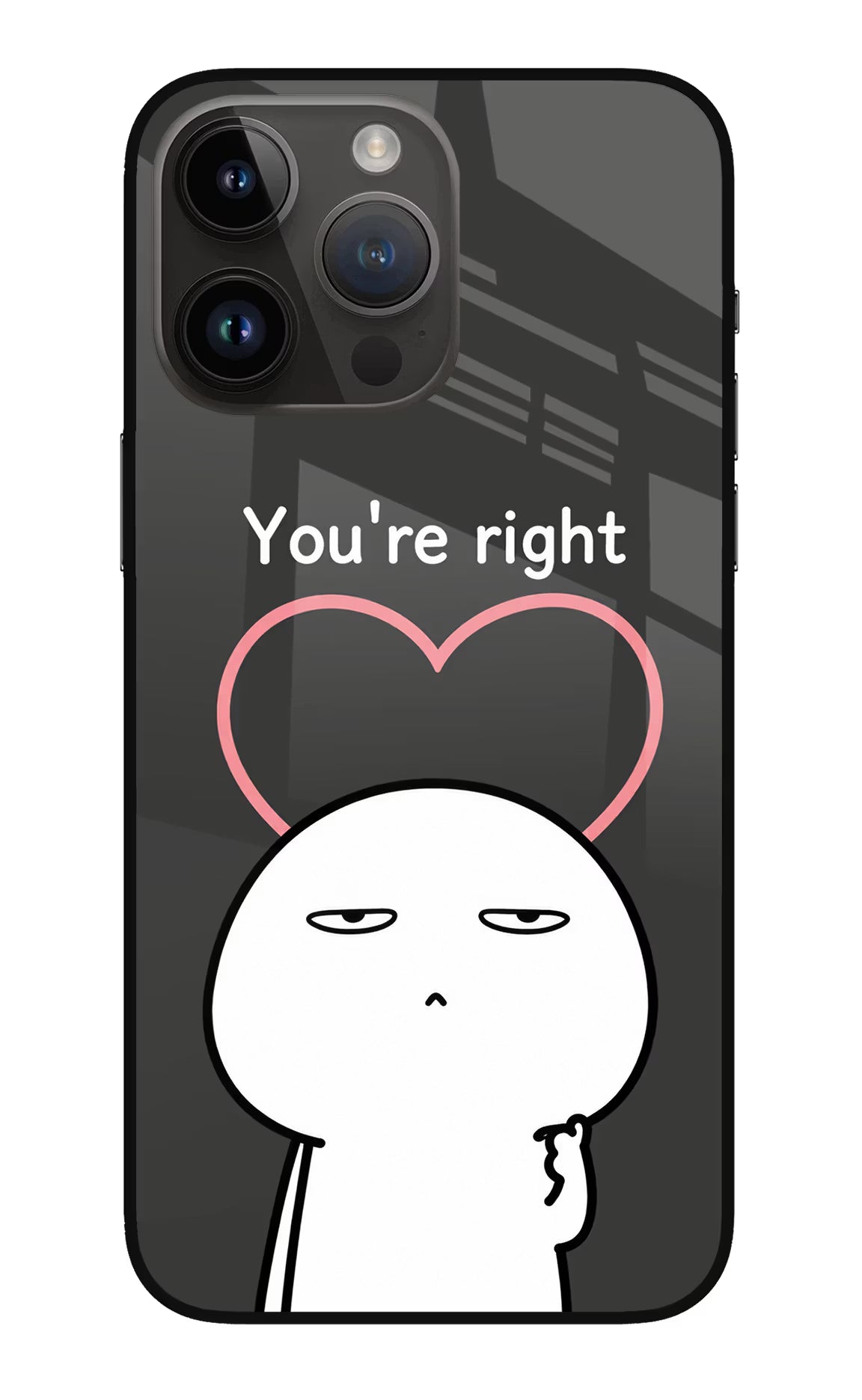 You're Right iPhone 14 Pro Max Glass Case - You're Right iPhone 14 Pro Max Glass Case You're Right iPhone 14 Pro Max Glass Case