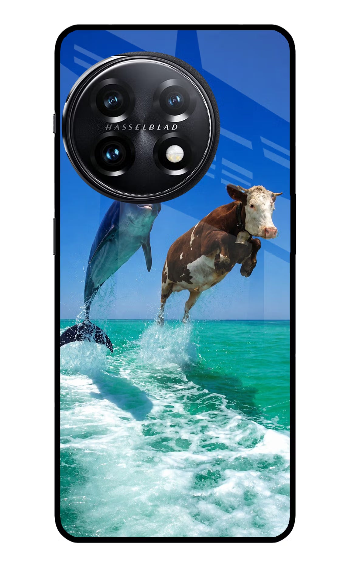 Dolphin vs Cow OnePlus 11 5G Glass Case - Dolphin vs Cow OnePlus 11 5G Glass Case Dolphin vs Cow OnePlus 11 5G Glass Case
