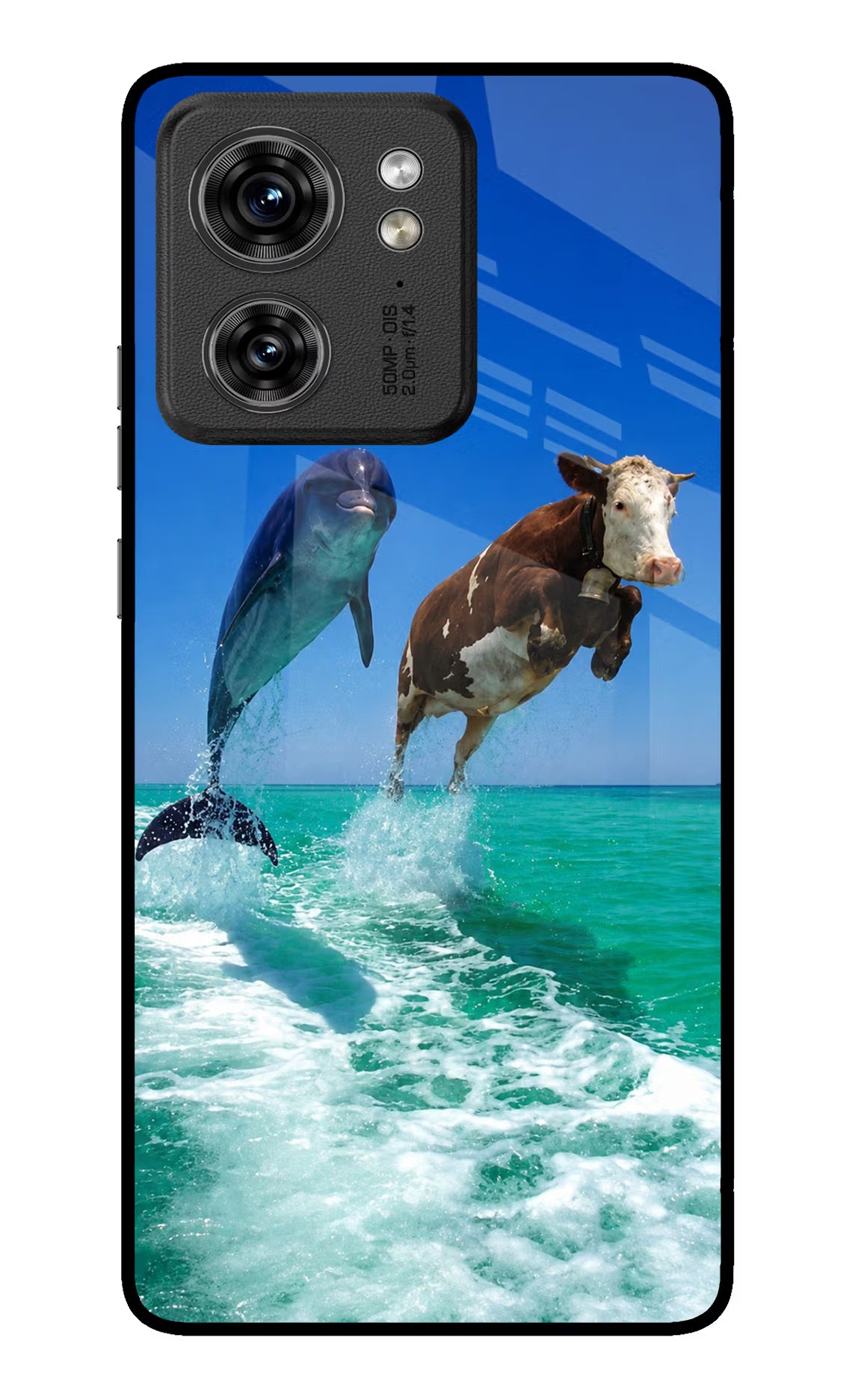 Dolphin vs Cow Moto Edge 40 Glass Case - Dolphin vs Cow Moto Edge 40 Glass Case Dolphin vs Cow Moto Edge 40 Glass Case