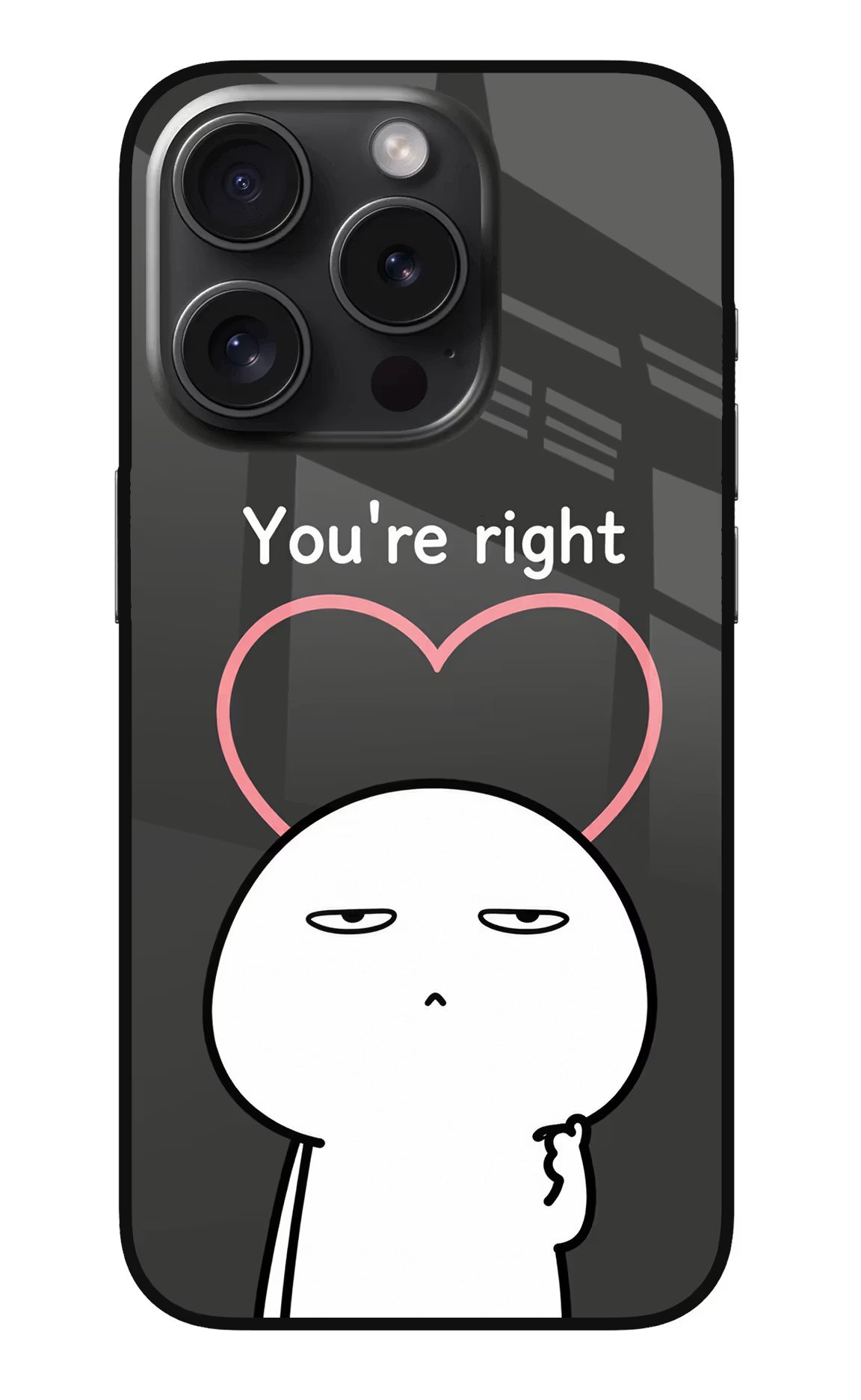 You're Right iPhone 15 Pro Glass Case - You're Right iPhone 15 Pro Glass Case You're Right iPhone 15 Pro Glass Case