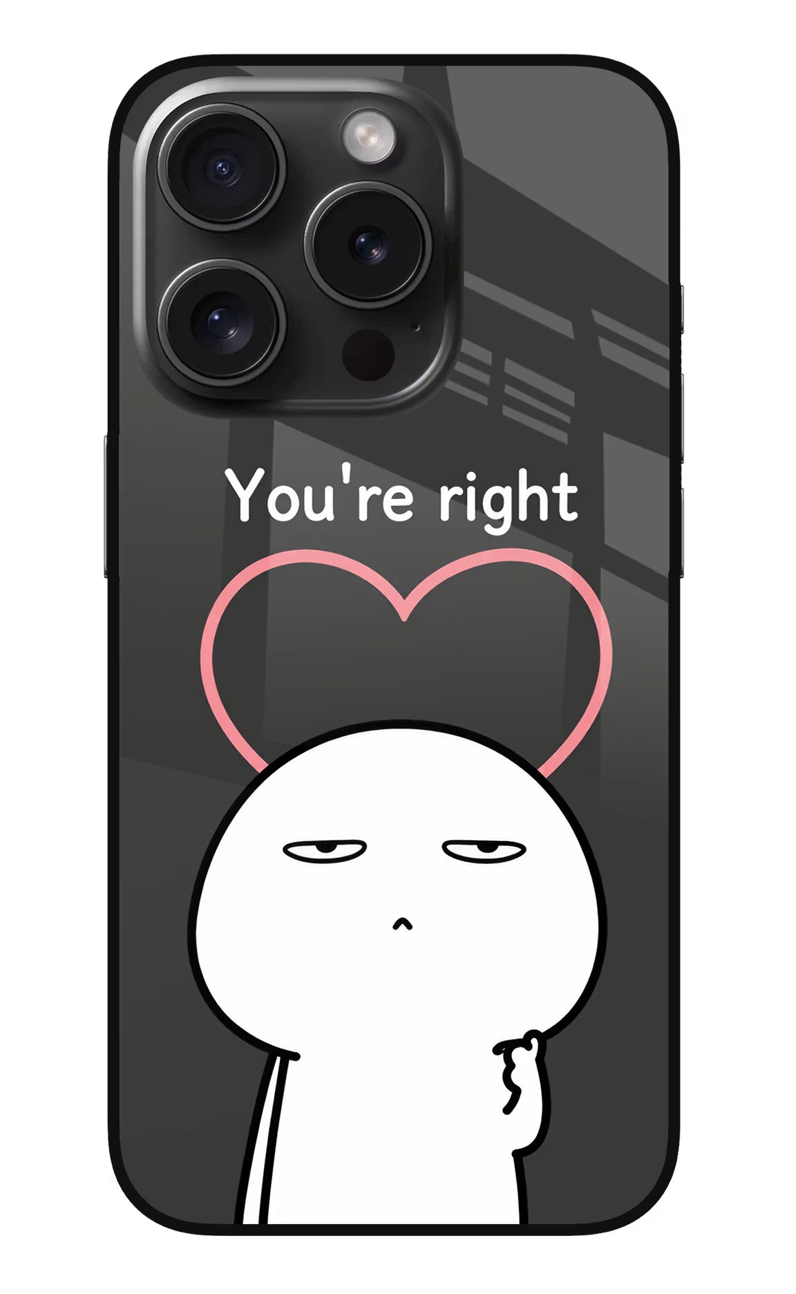 You're Right iPhone 15 Pro Max Glass Case - You're Right iPhone 15 Pro Max Glass Case You're Right iPhone 15 Pro Max Glass Case