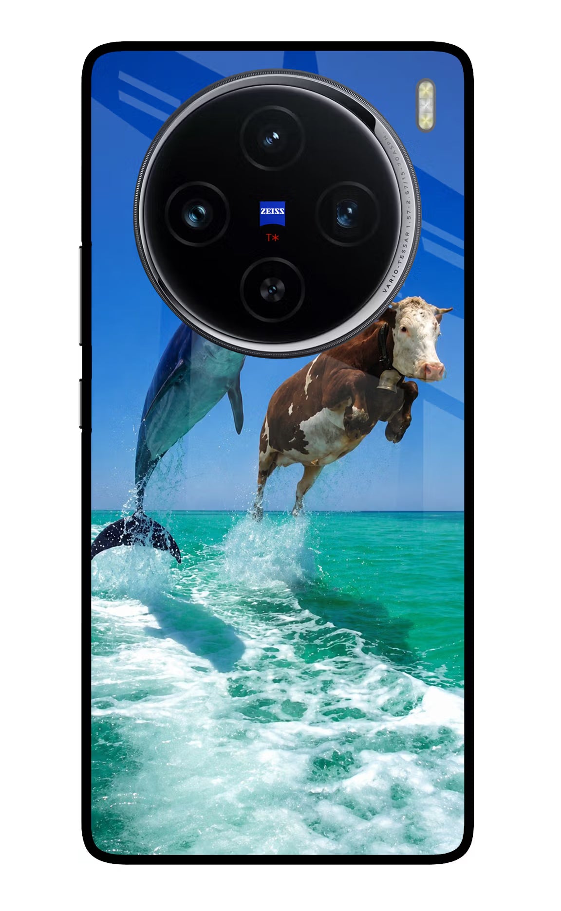 Dolphin vs Cow Vivo X100 Glass Case - Dolphin vs Cow Vivo X100 Glass Case Dolphin vs Cow Vivo X100 Glass Case
