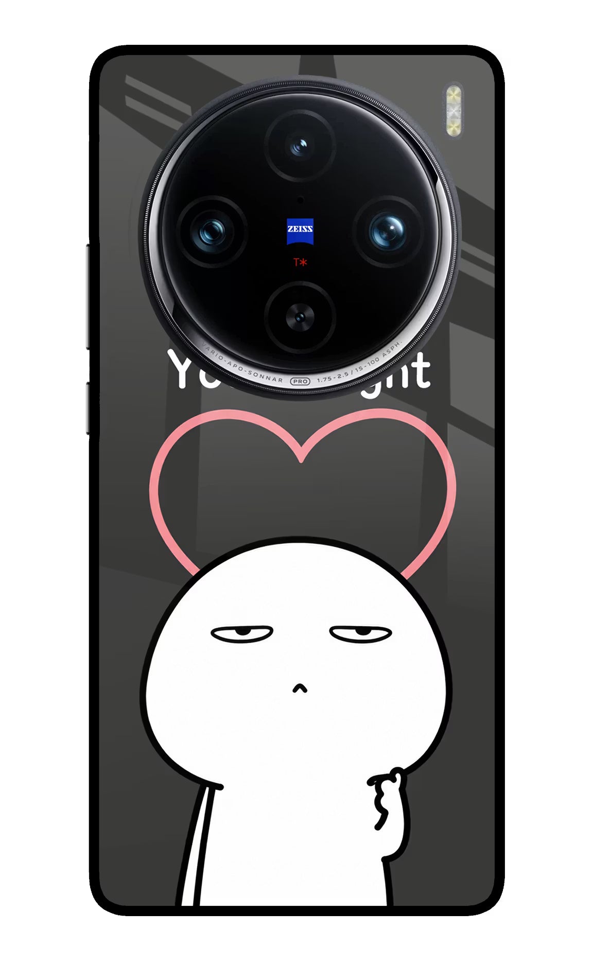 You're Right Vivo X100 Pro Glass Case - You're Right Vivo X100 Pro Glass Case You're Right Vivo X100 Pro Glass Case