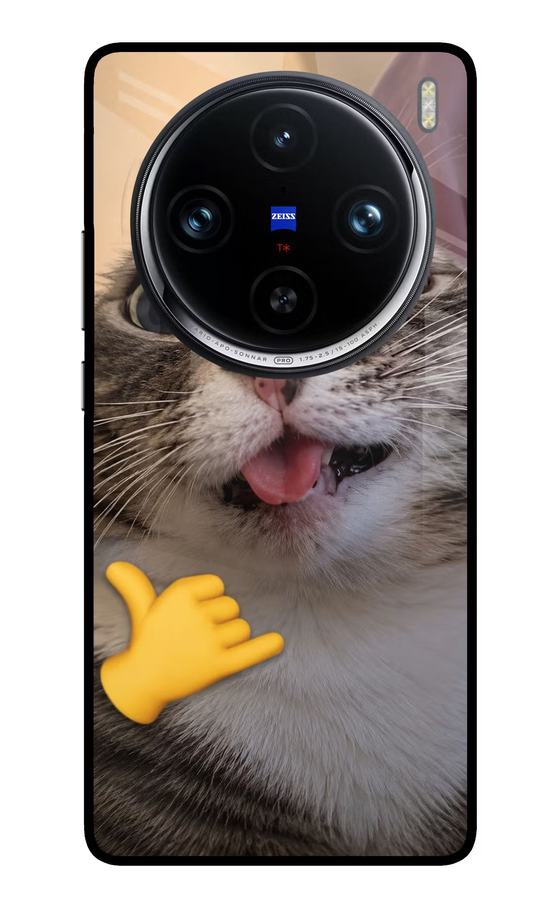 Silly Cat Call Vivo X100 Pro Glass Case - Silly Cat Call Vivo X100 Pro Glass Case Silly Cat Call Vivo X100 Pro Glass Case