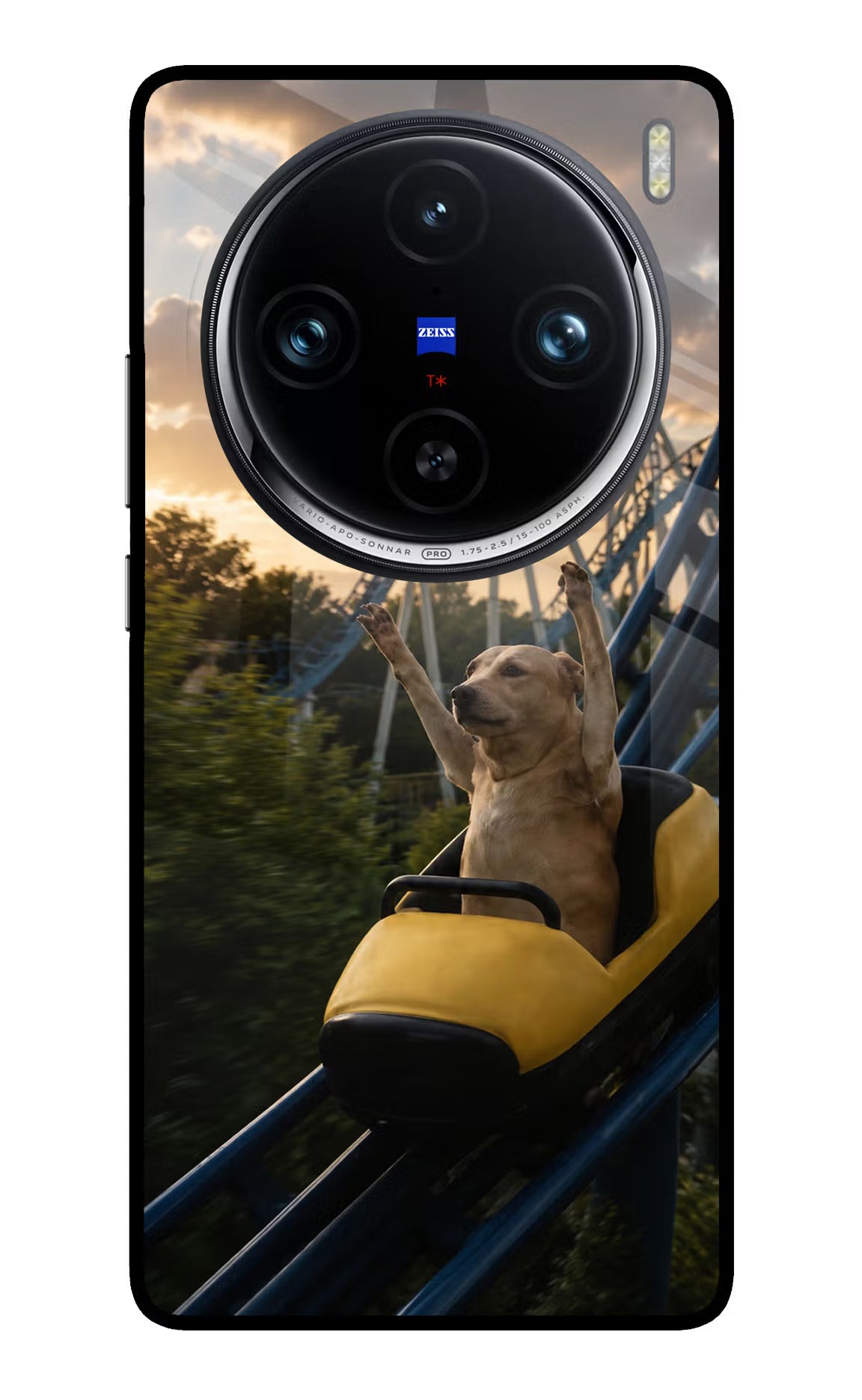 Rollercoaster Dog Vivo X100 Pro Glass Case - Rollercoaster Dog Vivo X100 Pro Glass Case Rollercoaster Dog Vivo X100 Pro Glass Case