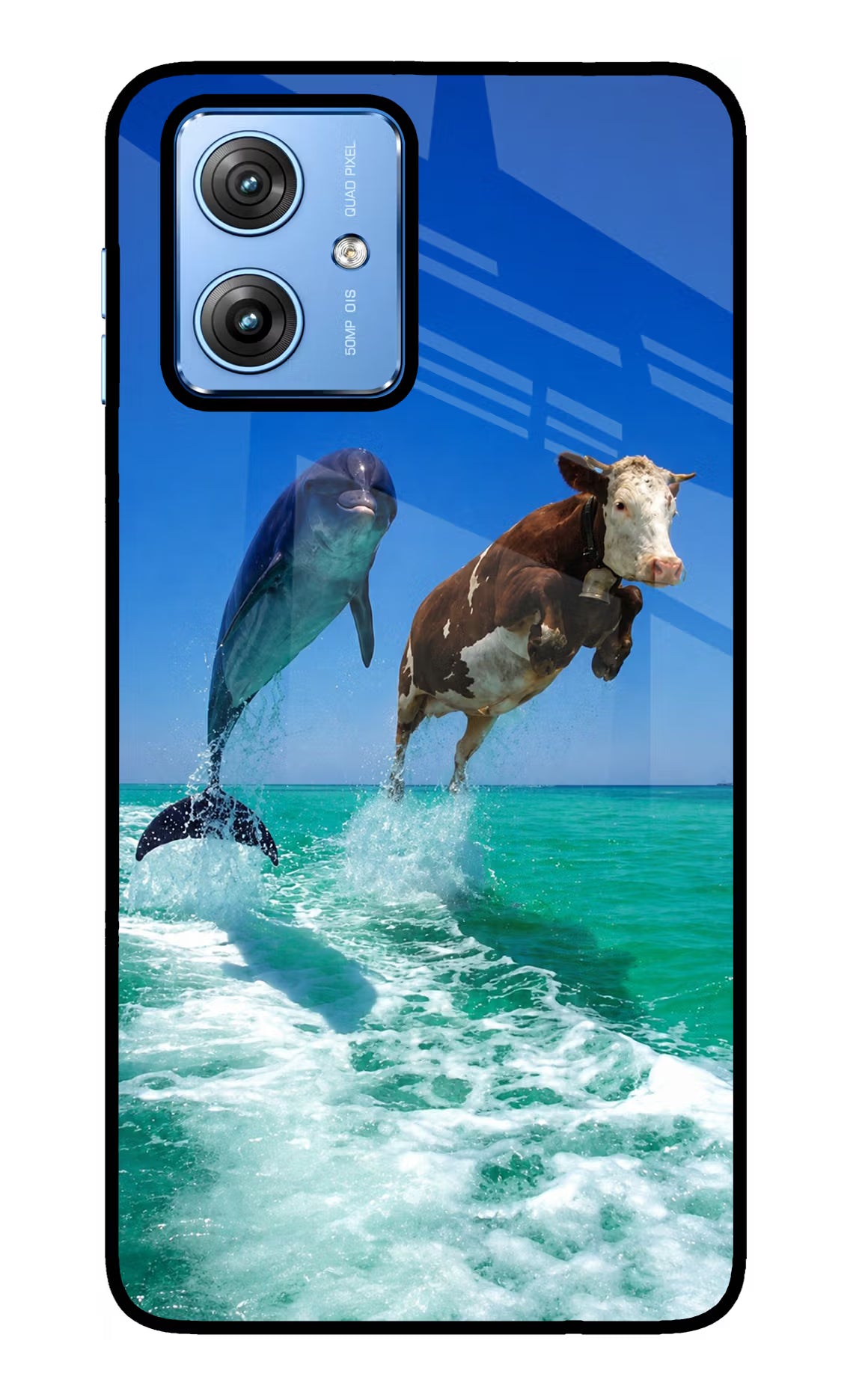 Dolphin vs Cow Moto G64 5G Glass Case - Dolphin vs Cow Moto G64 5G Glass Case Dolphin vs Cow Moto G64 5G Glass Case