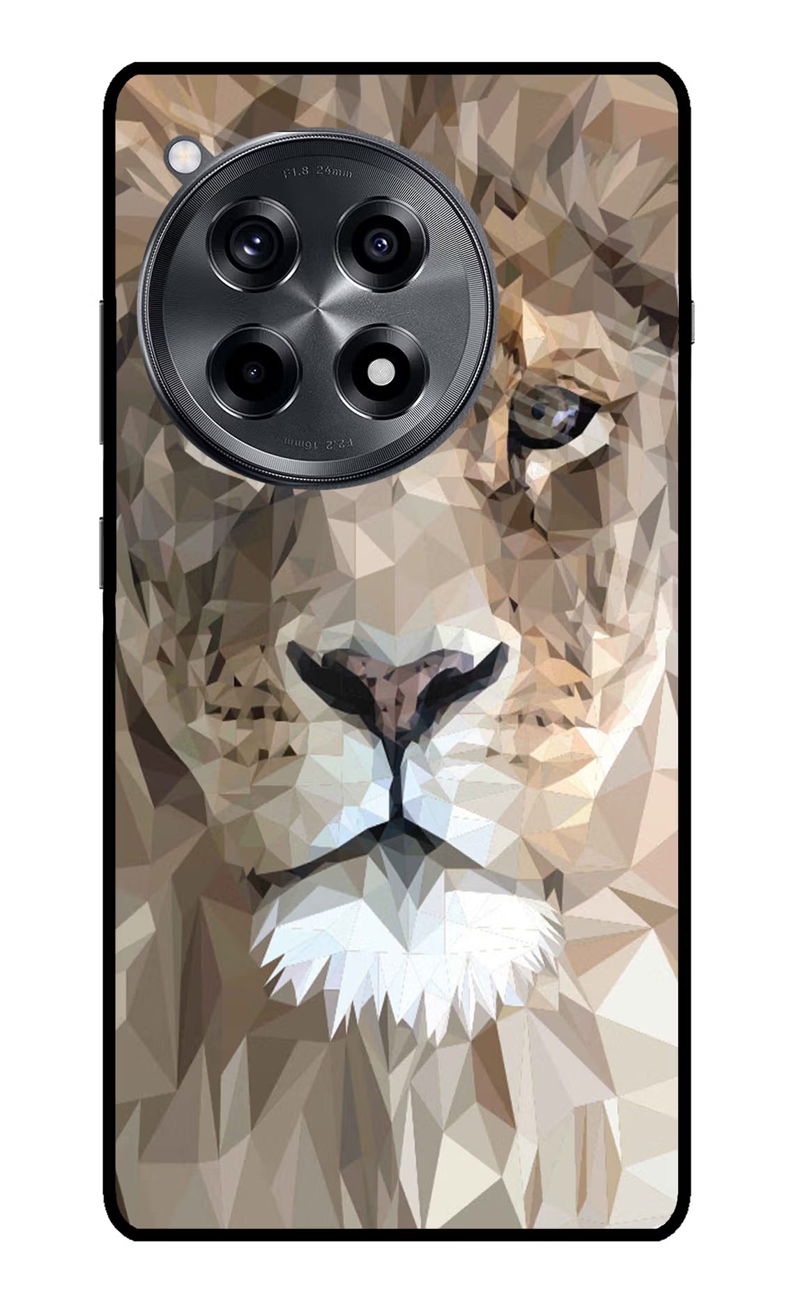 Lion Art OnePlus 12R Glass Case - Lion Art OnePlus 12R Glass Case Lion Art OnePlus 12R Glass Case