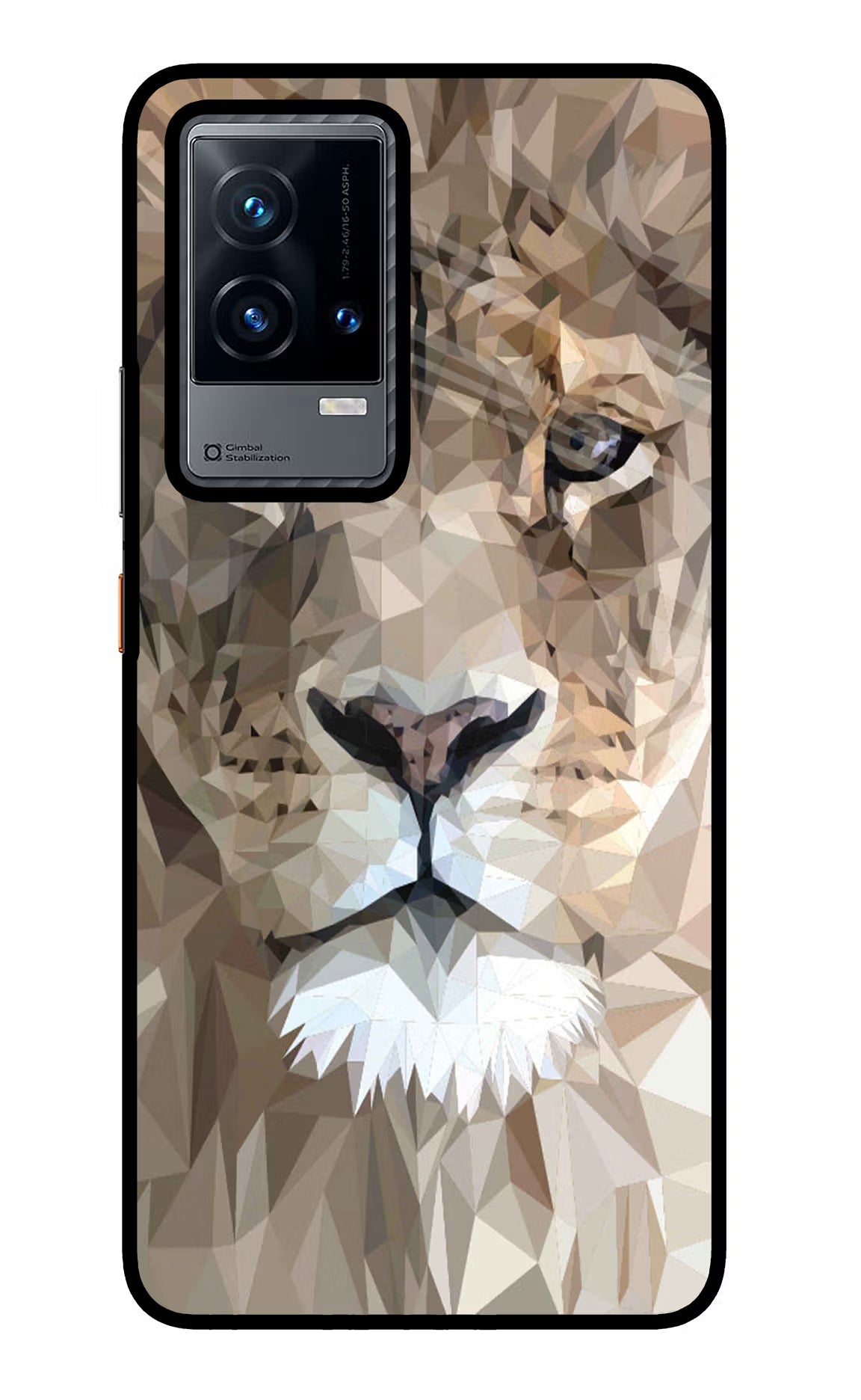 Lion Art iQOO 9 5G Glass Case - Lion Art iQOO 9 5G Glass Case Lion Art iQOO 9 5G Glass Case