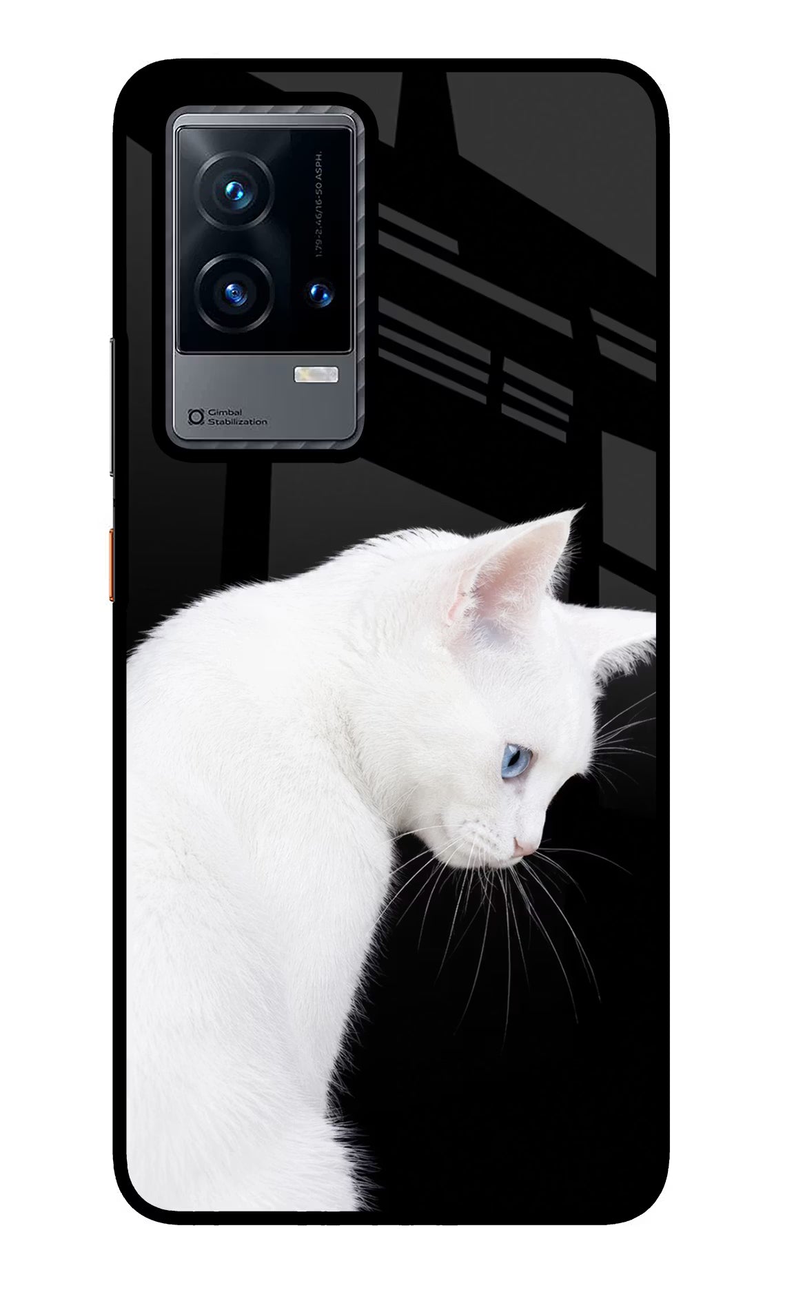Snow Gaze iQOO 9 5G Glass Case - Snow Gaze iQOO 9 5G Glass Case Snow Gaze iQOO 9 5G Glass Case