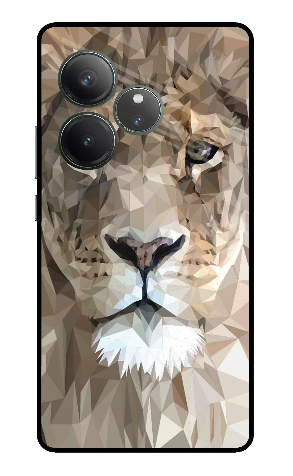 Lion Art Realme GT 6 Glass Case - Lion Art Realme GT 6 Glass Case Lion Art Realme GT 6 Glass Case