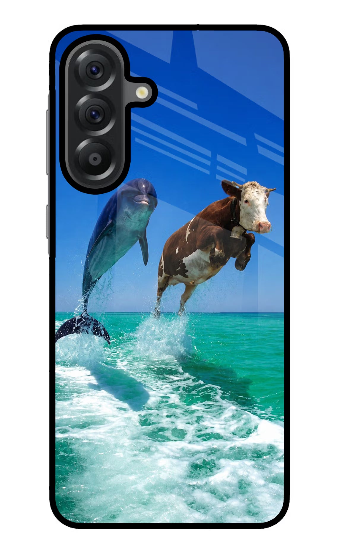 Dolphin vs Cow Samsung A56 5G Glass Case - Dolphin vs Cow Samsung A56 5G Glass Case Dolphin vs Cow Samsung A56 5G Glass Case