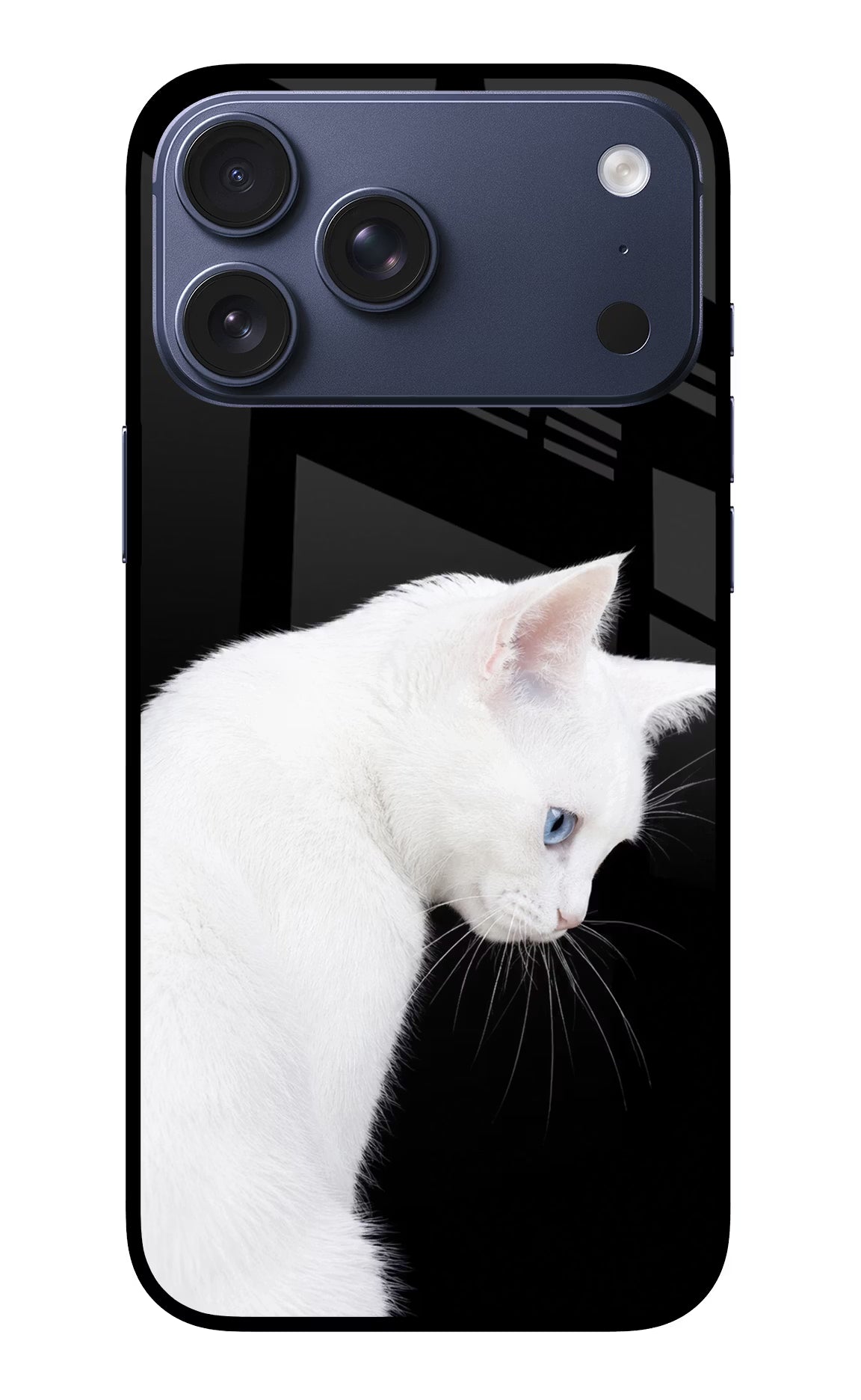 Snow Gaze iPhone 17 Pro Max Glass Case - Snow Gaze iPhone 17 Pro Max Glass Case Snow Gaze iPhone 17 Pro Max Glass Case