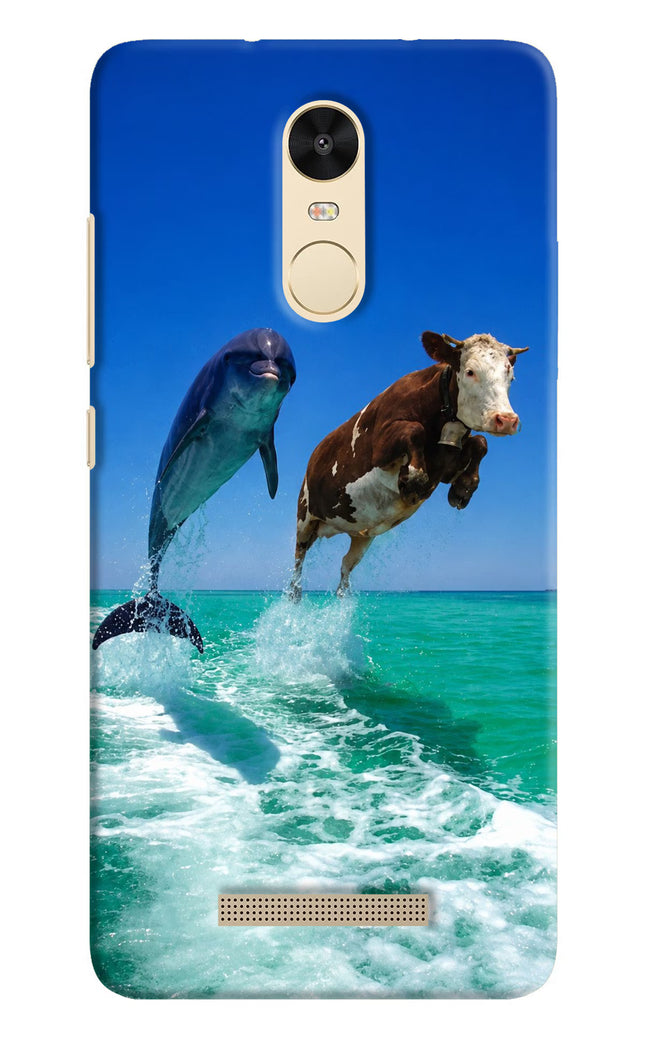 Dolphin vs Cow Redmi Note 3 Hard Case Back Cover by Casekaro