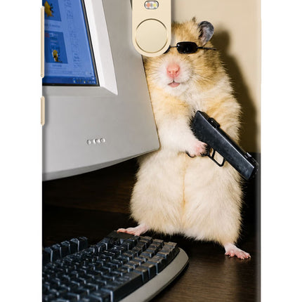 Hacker Hamster Redmi Note 3 Hard Case Back Cover by Casekaro