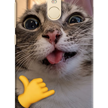 Silly Cat Call Redmi Note 3 Hard Case Back Cover by Casekaro