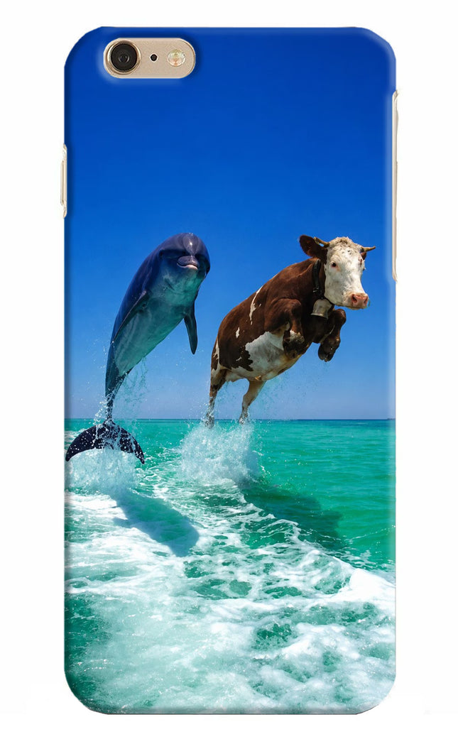 Dolphin vs Cow iPhone 6 Plus/6s Plus Hard Case Back Cover by Casekaro