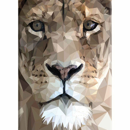 Lion Art iPhone 5/5s Hard Case Back Cover by Casekaro