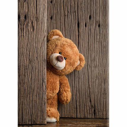 Teddy Wooden iPhone 5/5s Hard Case Back Cover by Casekaro