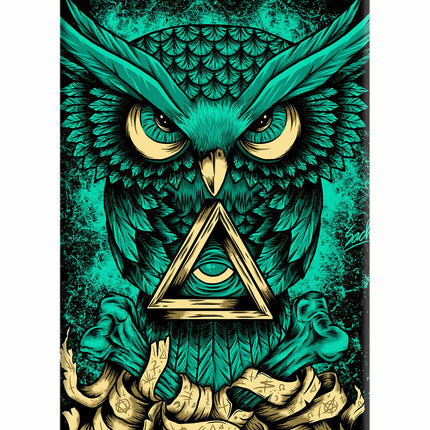 Green Owl iPhone 5/5s Hard Case Back Cover by Casekaro