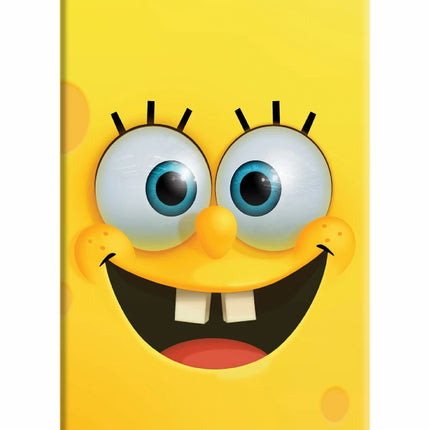 Sponge 1 iPhone 5/5s Hard Case Back Cover by Casekaro