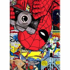 Spider Man iPhone 5/5s Hard Case Back Cover by Casekaro