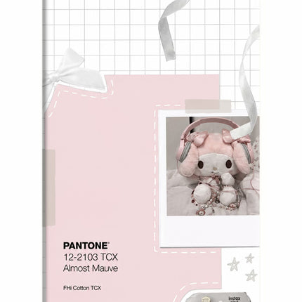 Pantone Asthetic iPhone 5/5s Hard Case Back Cover by Casekaro