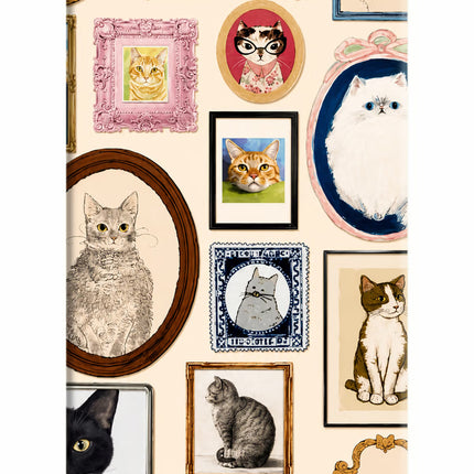 Mirror Cats iPhone 5/5s Hard Case Back Cover by Casekaro