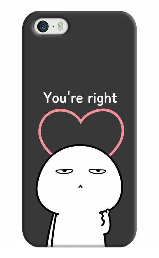 You're Right iPhone 5/5s Hard Case Back Cover by Casekaro