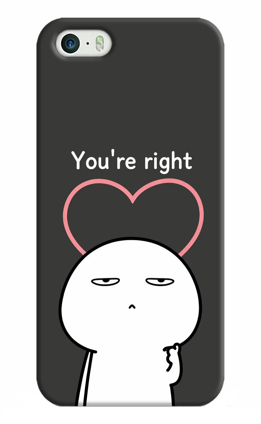 You're Right iPhone 5/5s Back Cover, Hard case