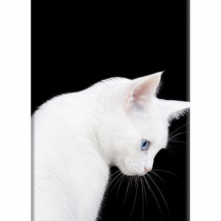 Snow Gaze iPhone 5/5s Hard Case Back Cover by Casekaro