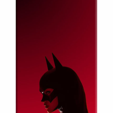 Night Thief iPhone 5/5s Hard Case Back Cover by Casekaro