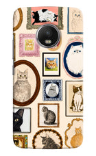 Mirror Cats Moto G5 plus Hard Case Back Cover by Casekaro
