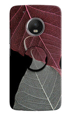 Leaf Pattern Moto G5 plus Pop Case by Casekaro