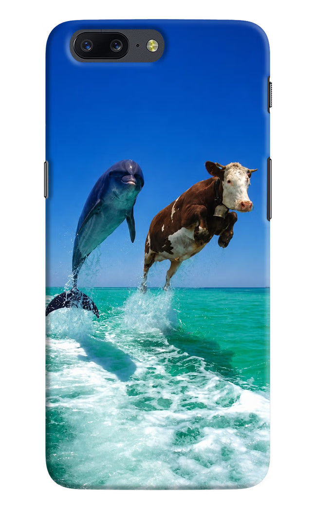 Dolphin vs Cow Oneplus 5 Hard Case Back Cover by Casekaro