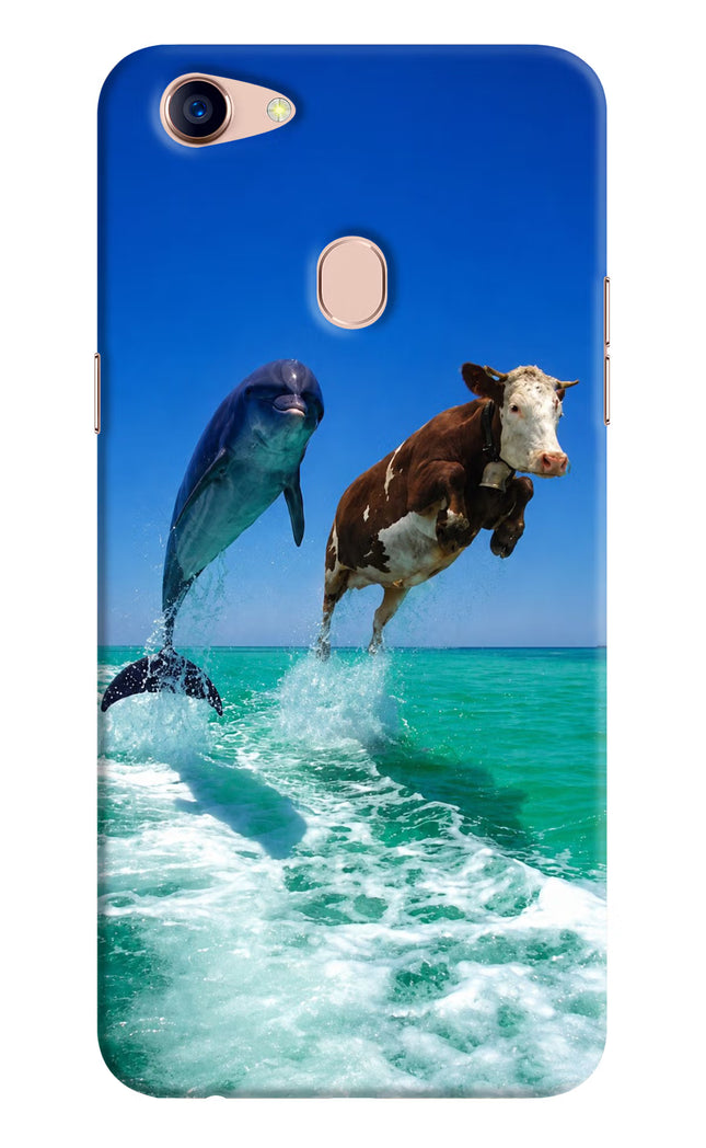 Dolphin vs Cow Oppo F5 Hard Case Back Cover by Casekaro