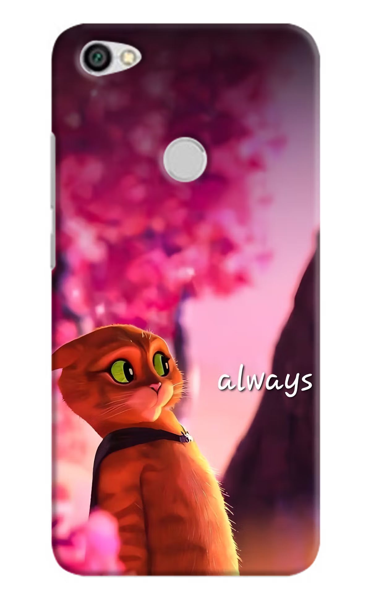 Always Cat Redmi Y1 Back Cover