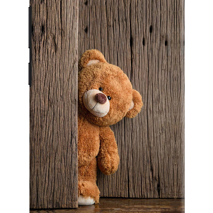 Teddy Wooden Vivo V5/V5s Hard Case Back Cover by Casekaro