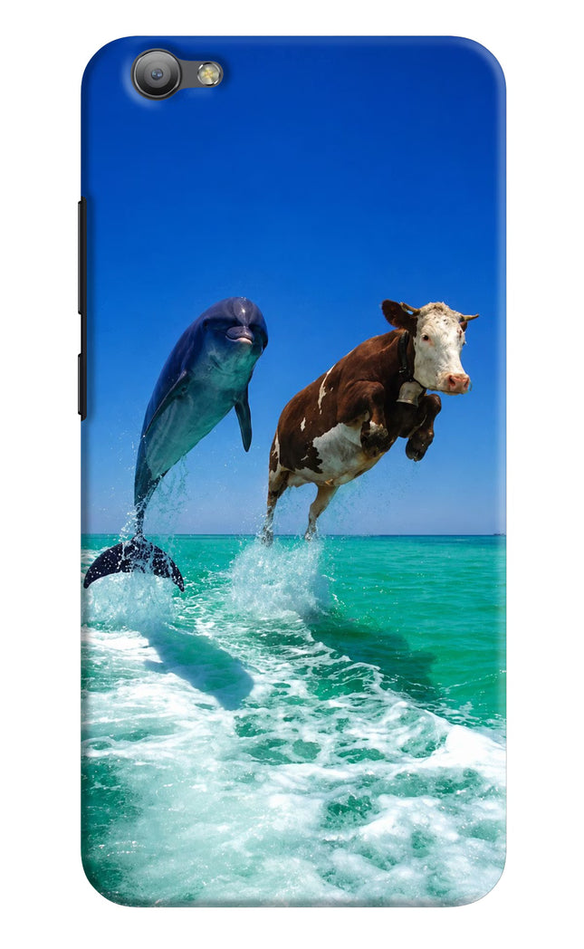 Dolphin vs Cow Vivo V5/V5s Hard Case Back Cover by Casekaro