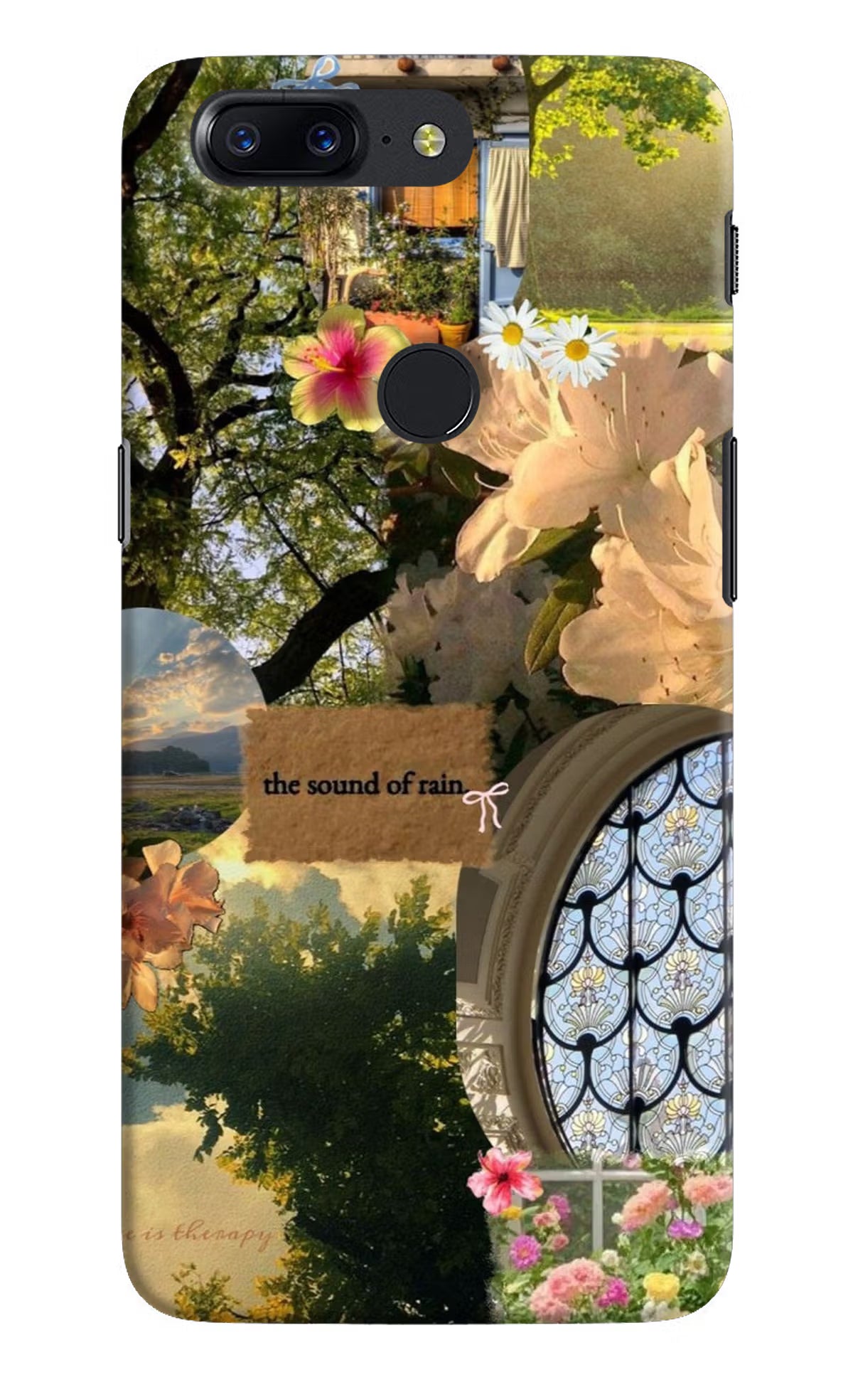 Rain Oneplus 5T Back Cover