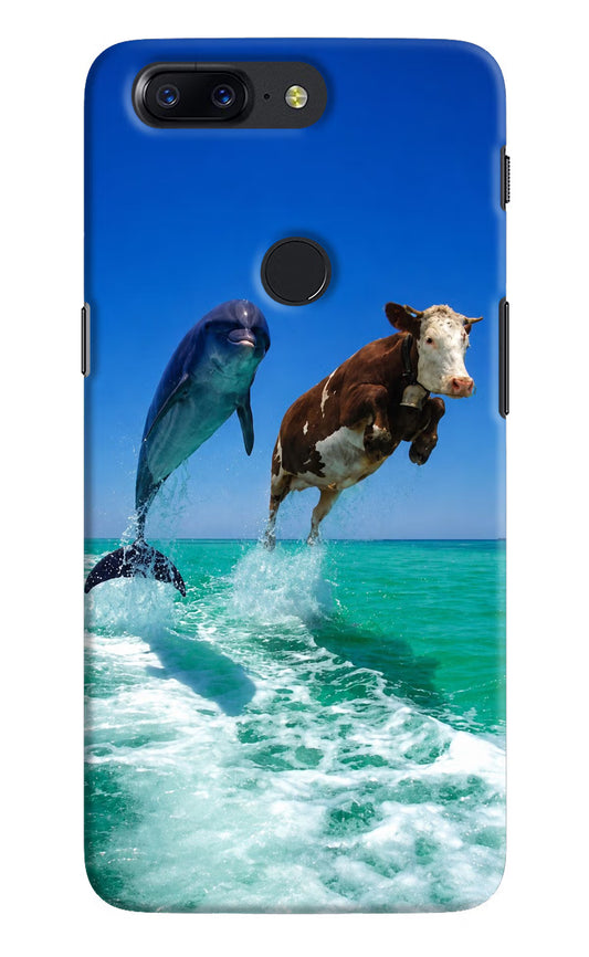 Dolphin vs Cow Oneplus 5T Back Cover